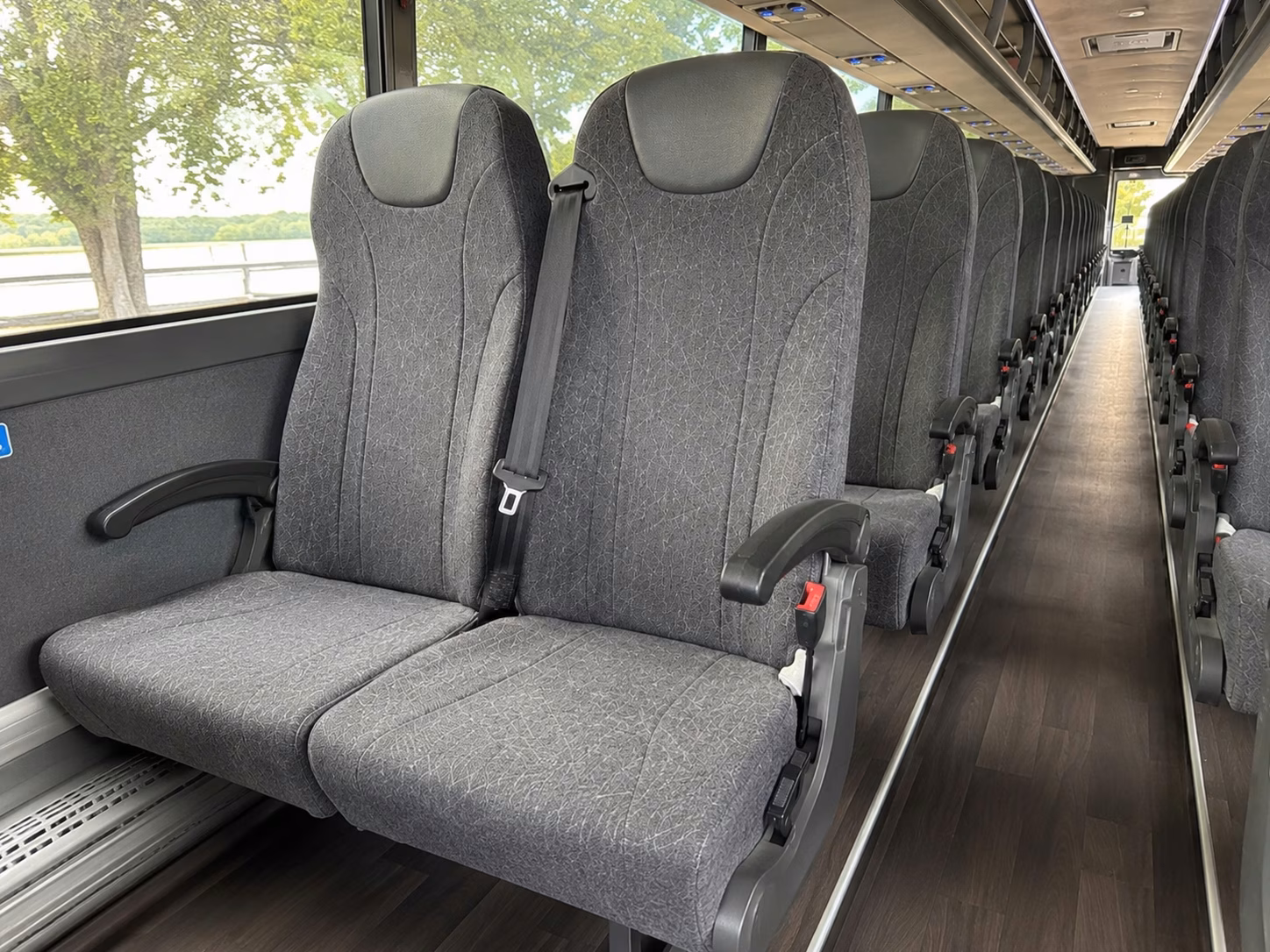compare buses in minutes not days